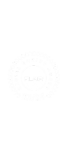 Flair Logo