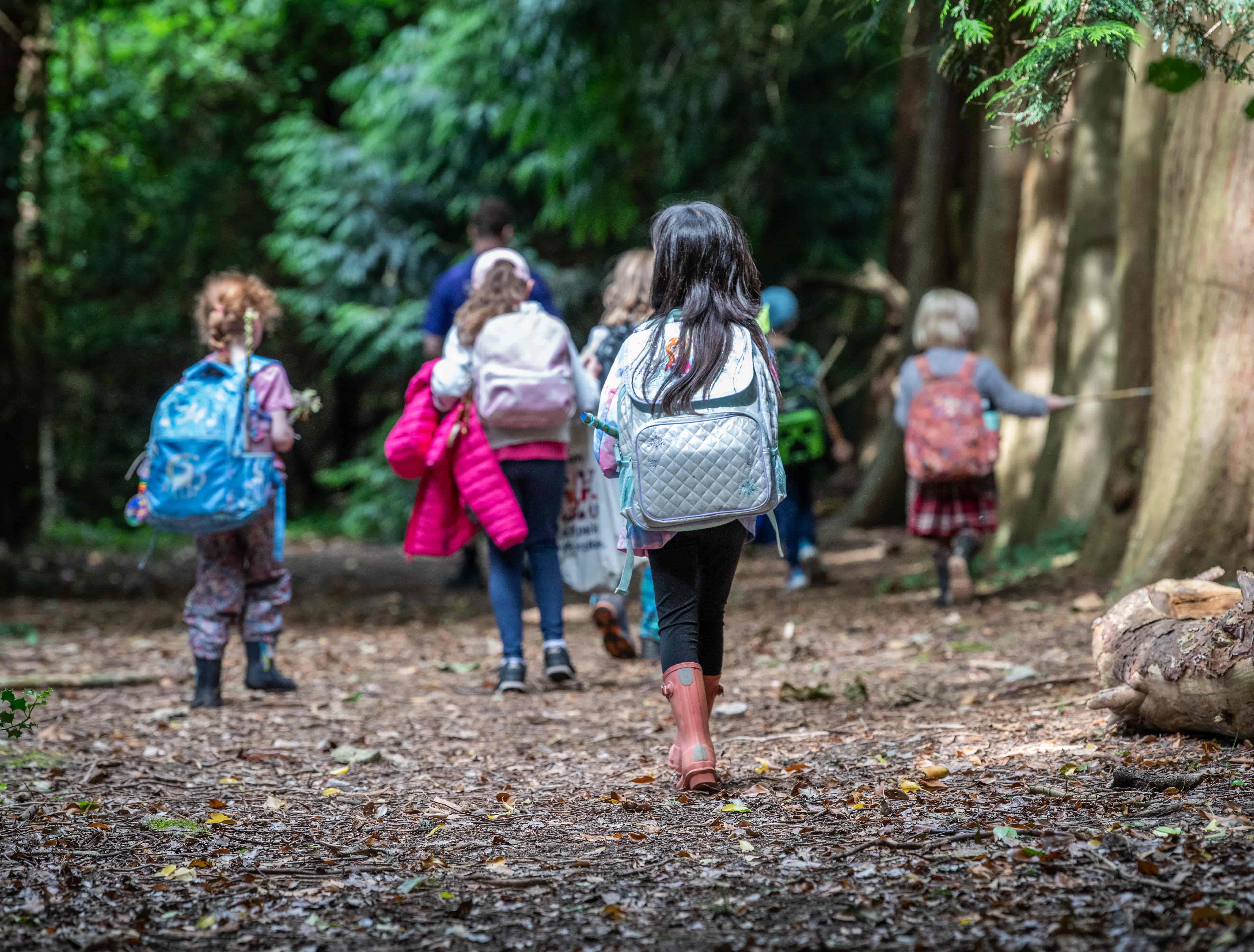 Children with backpacks walking on a forest path, surrounded by trees and greenery.
