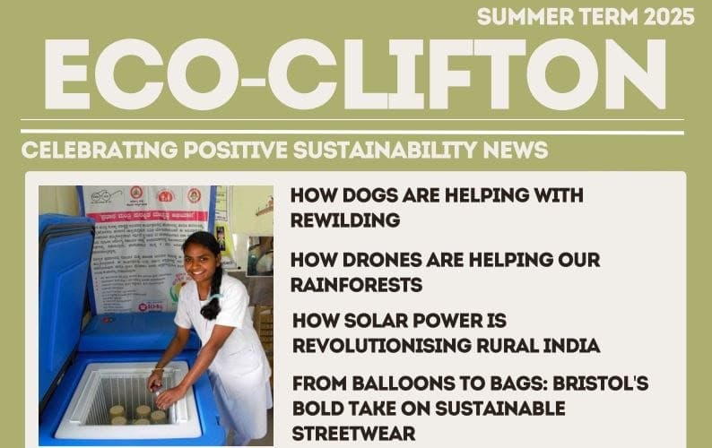 Eco-Clifton is an informative and collaborative student-led platform to initiate, facilitate and advertise positive environmental change.