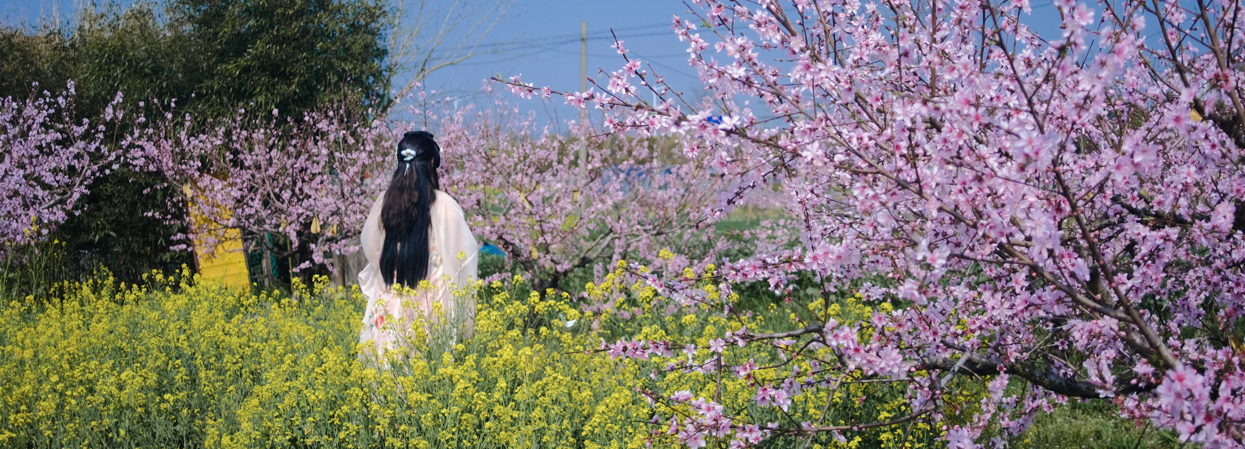 Photography pupils' success at Bristol Photo Festival